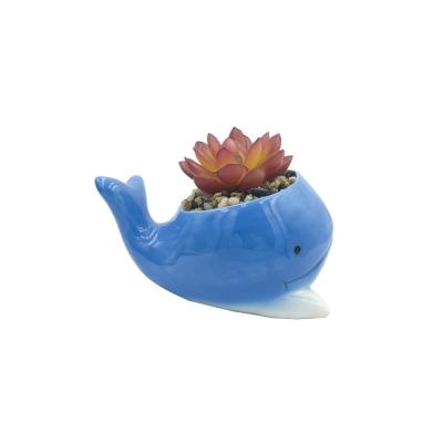 whale shaped ceramic planter succulents plant flower pot thumbnail