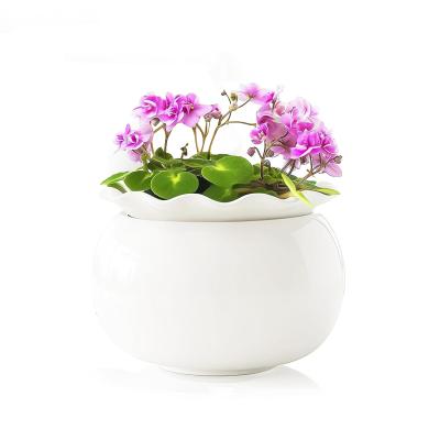 Violet Ceramic Double Wall Self Watering Planter Pot picture 1