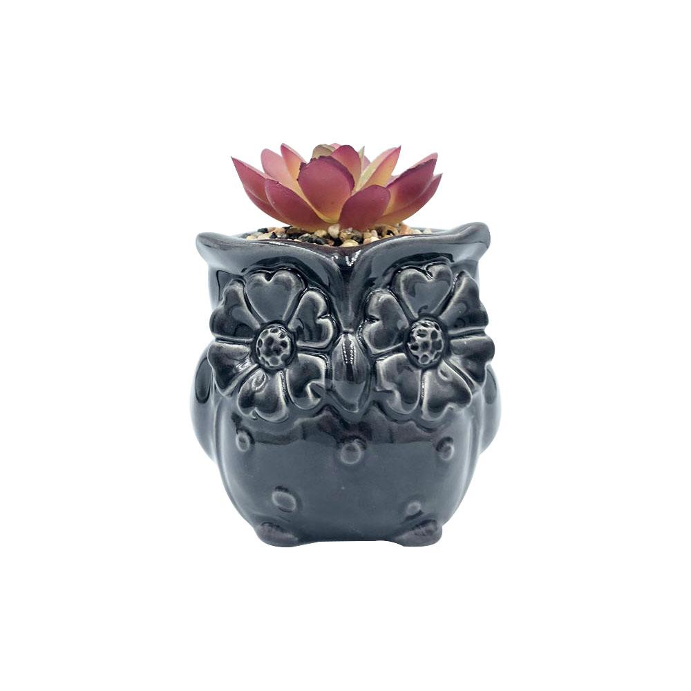 animal owl shape small mini ceramic succulent plant planter pot