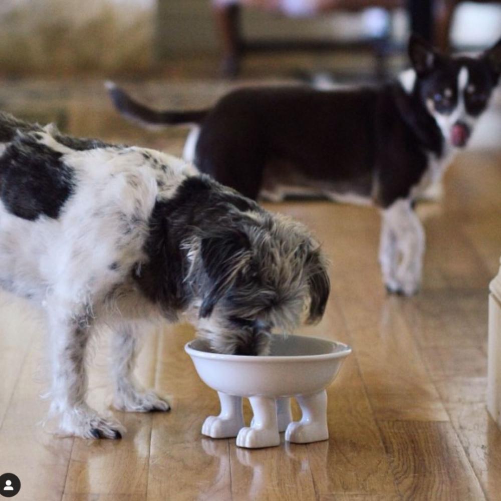New Factory dog shaped modern custom ceramic elevated raised supplies dish water pet dog cat bowl