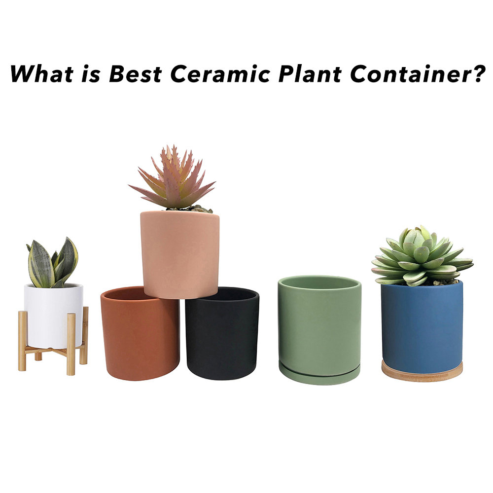What is Best Ceramic Plant Container?