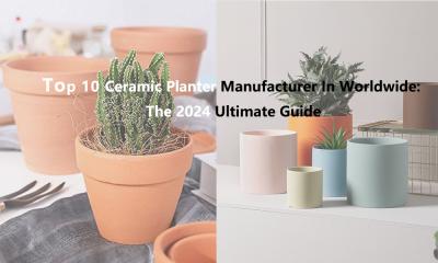 Top 10 Wholesale Ceramic Planter Manufacturer In Worldwide: The 2024 Ultimate Guide