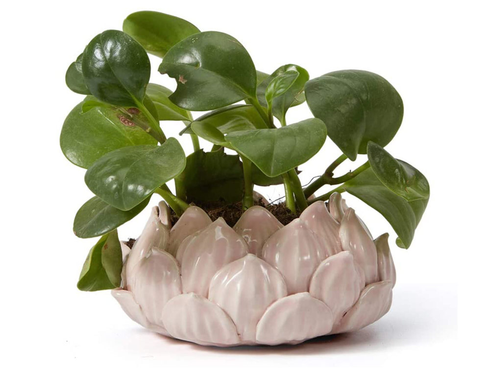 Lotus Shaped Ceramic Succulent Planter Flower Pot