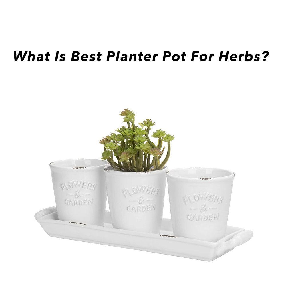 What is Best Planter Pot For Herbs?