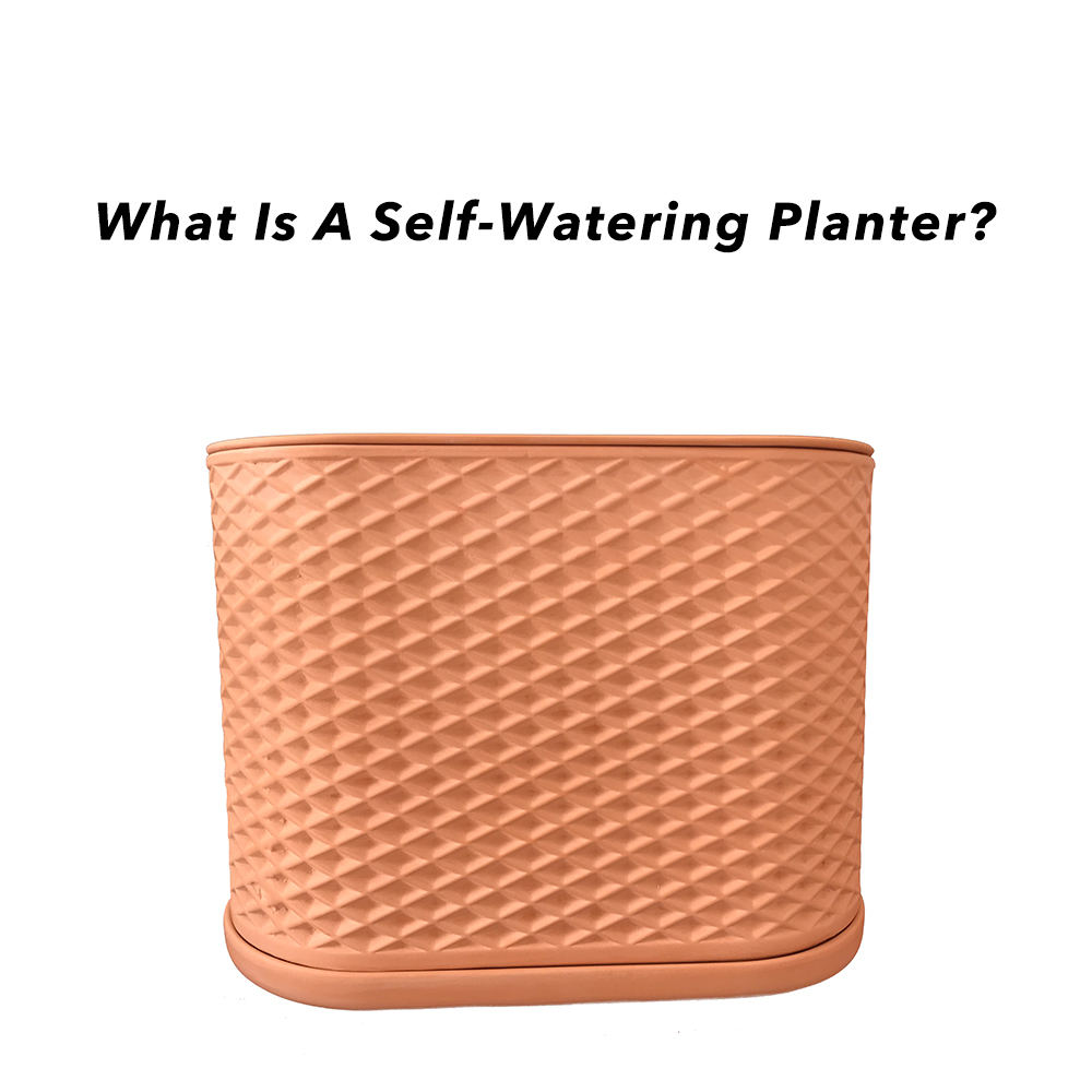 What Is A Self Watering Planter Pot?
