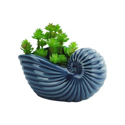 shell shaped ceramic succulent planter plant pot supplier picture 1