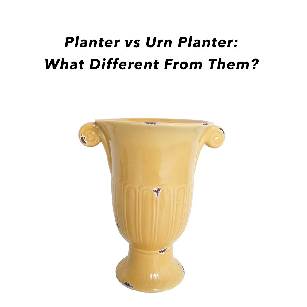 Planter vs Urn Planter:What Different From Them?
