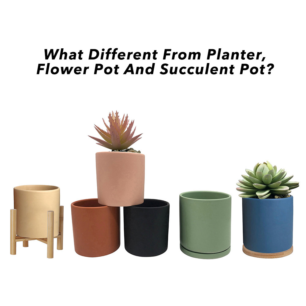 What Different From planter & flower pot & succulent pot?
