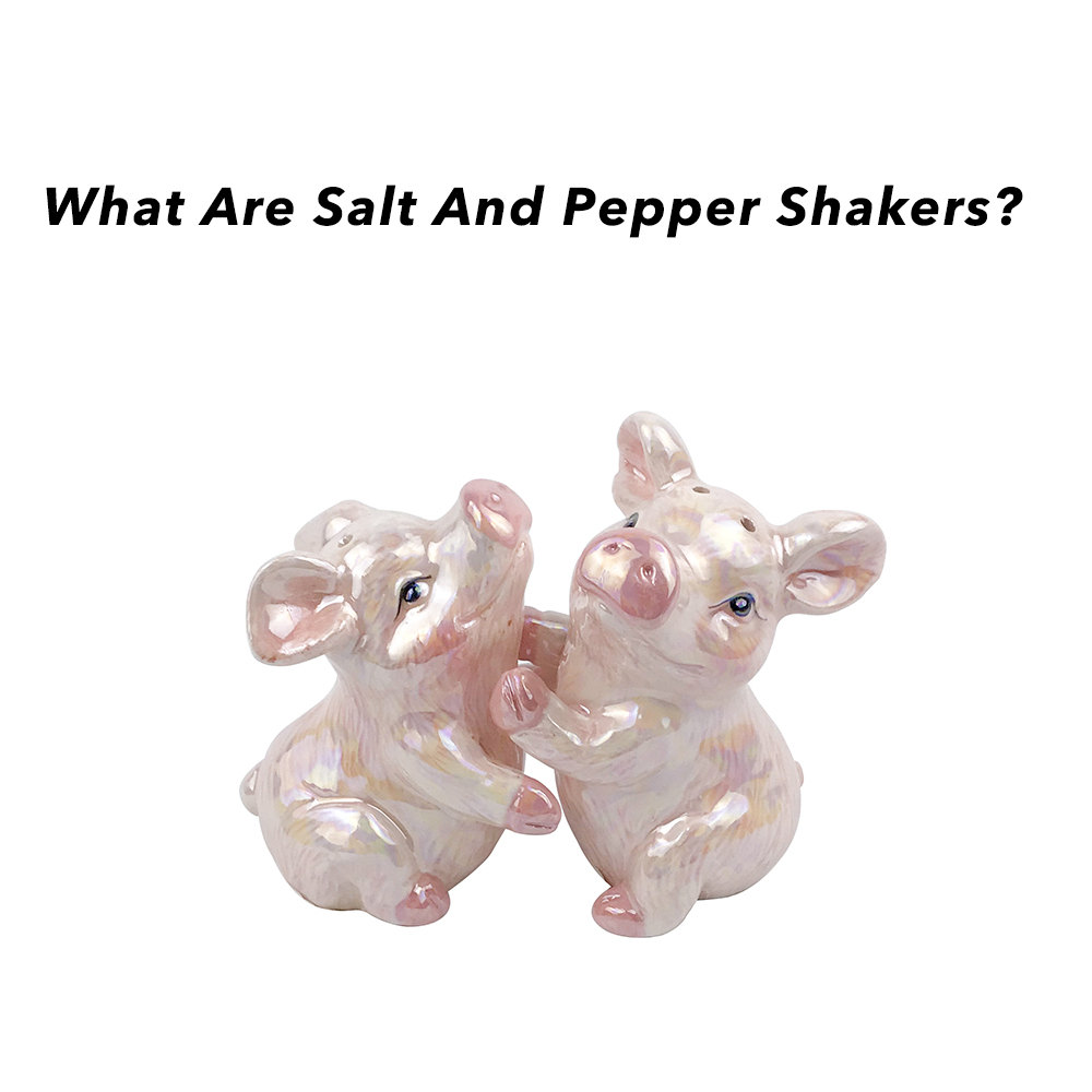 What Are Salt And Pepper Shakers?