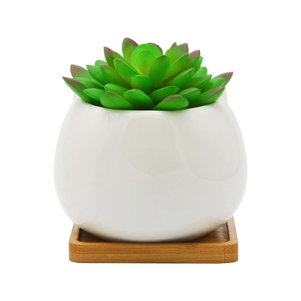 succulent flower planter plant pot with bamboo tray picture 4